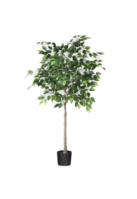 Faux Ficus Tree