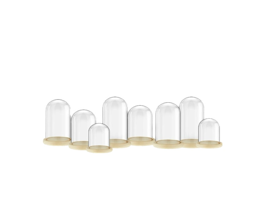 Glass And Wood Cloche Collection