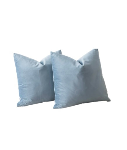 Skye Velvet Pillow Pair